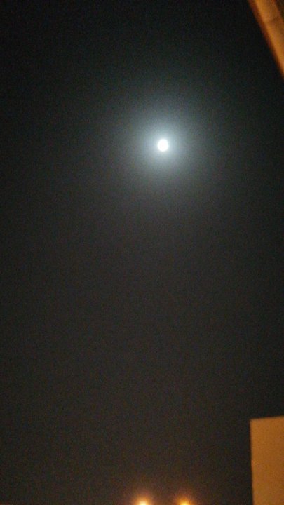 مشاركاتي في أنت الراصد