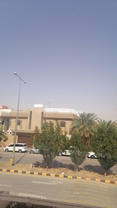 مشاركاتي في أنت الراصد