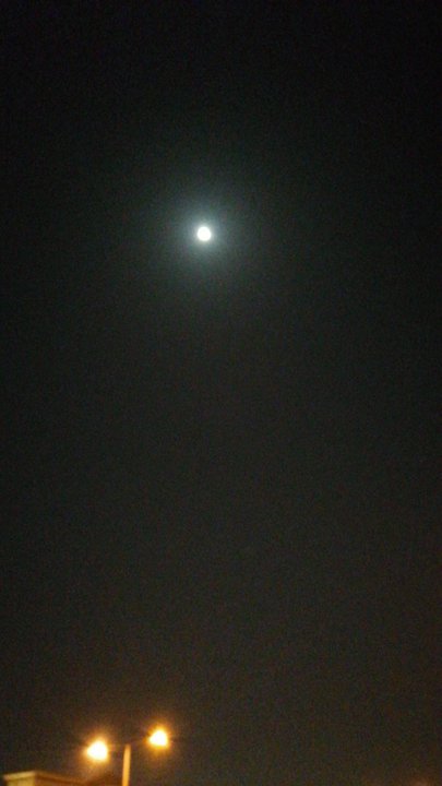 مشاركاتي في أنت الراصد