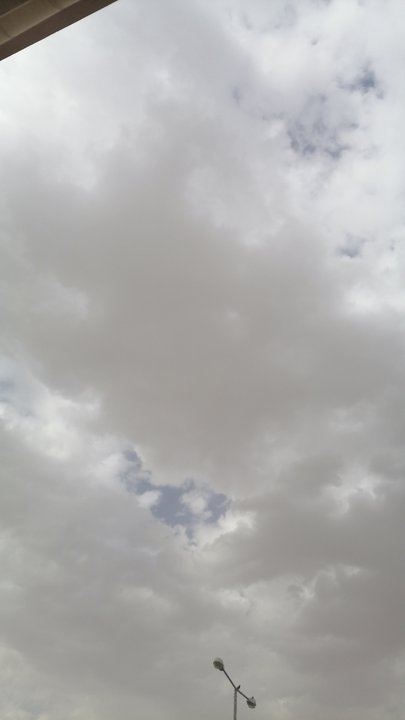 مشاركاتي في أنت الراصد