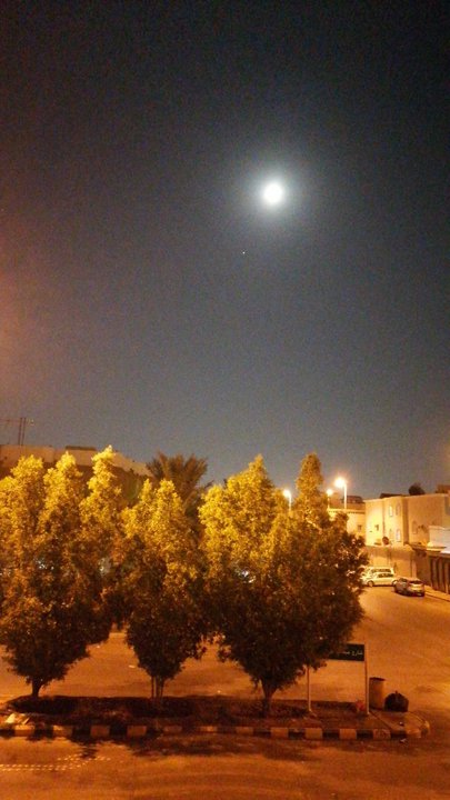 مشاركاتي في أنت الراصد