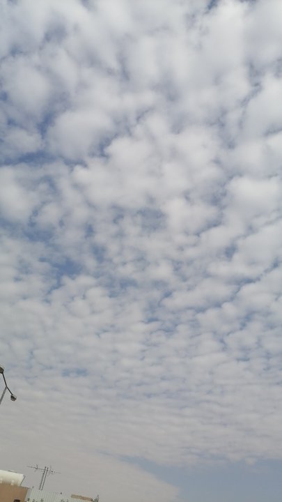 Mes publications Crowdsourcing