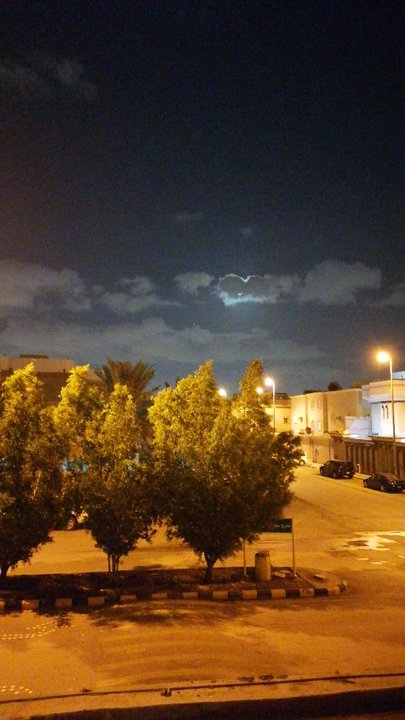 Mes publications Crowdsourcing