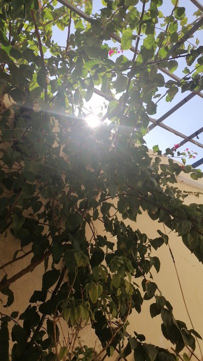 Mes publications Crowdsourcing