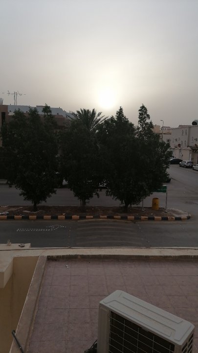 مشاركاتي في أنت الراصد