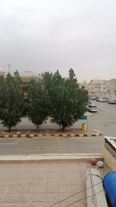 مشاركاتي في أنت الراصد