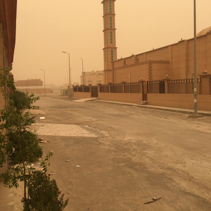 مشاركاتي في أنت الراصد