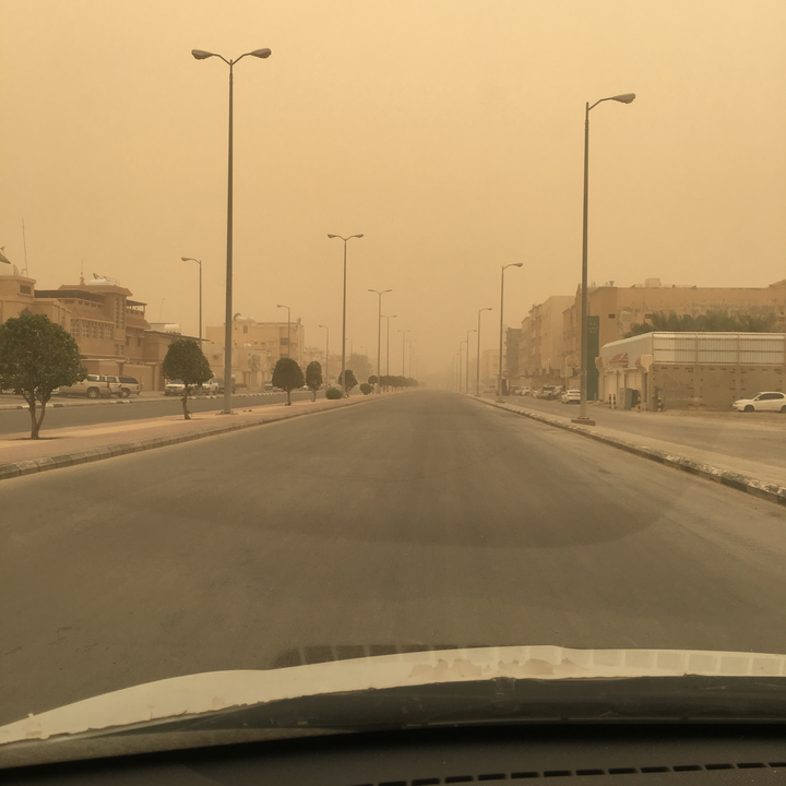 مشاركاتي في أنت الراصد