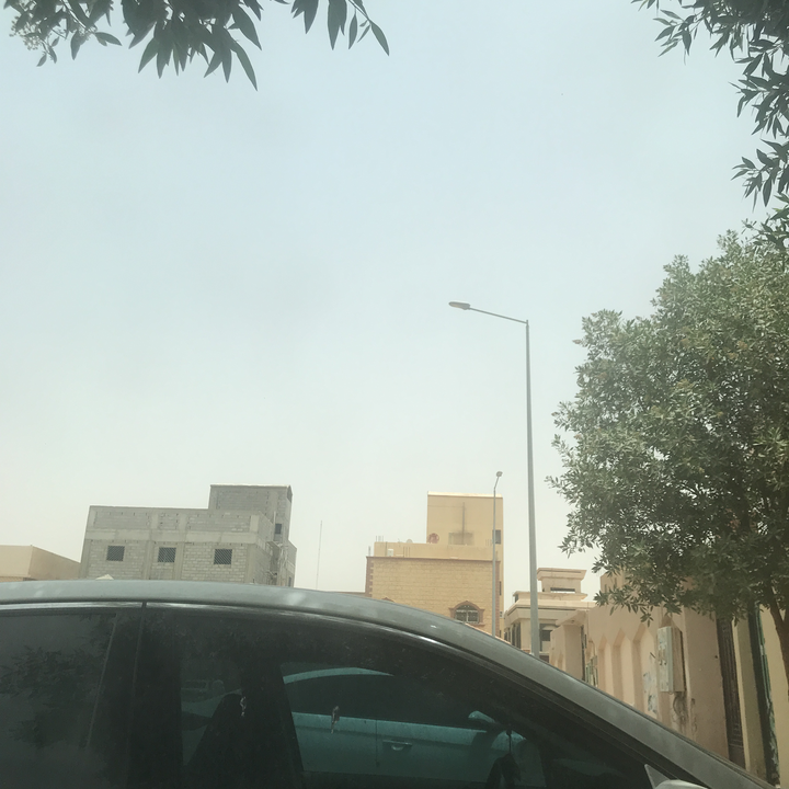 مشاركاتي في أنت الراصد