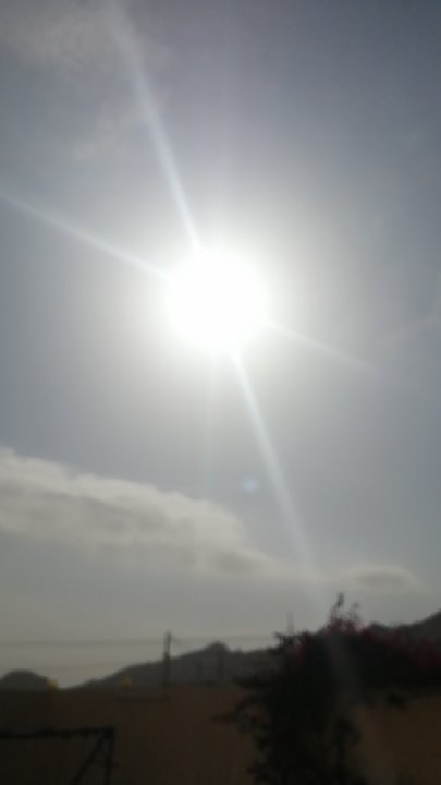 مشاركاتي في أنت الراصد