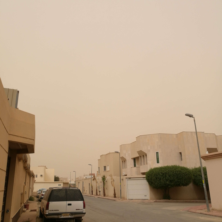 مشاركاتي في أنت الراصد