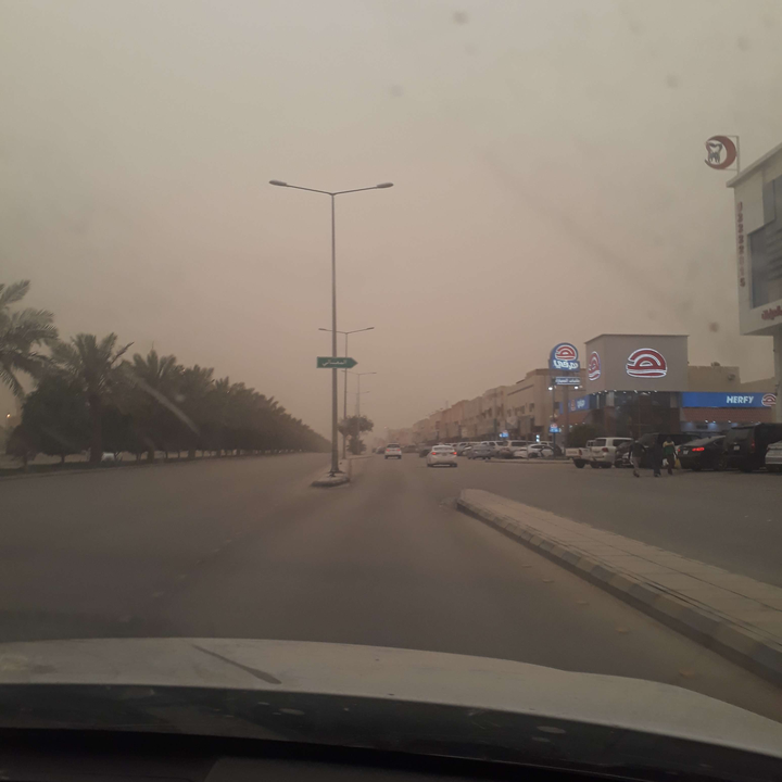 مشاركاتي في أنت الراصد