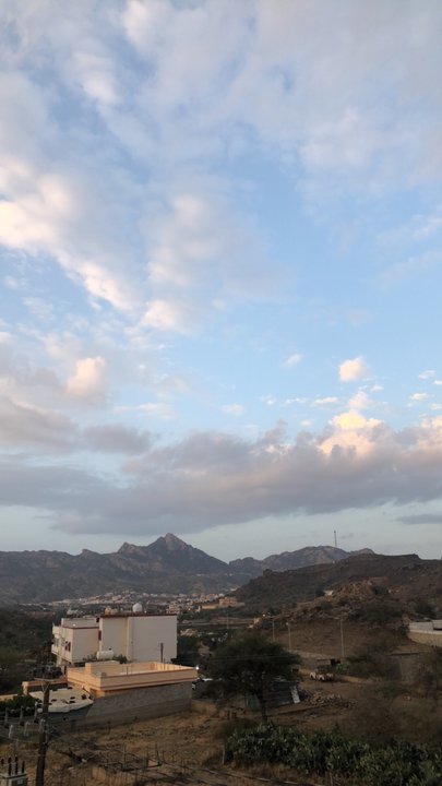 مشاركاتي في أنت الراصد