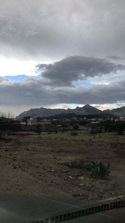 مشاركاتي في أنت الراصد