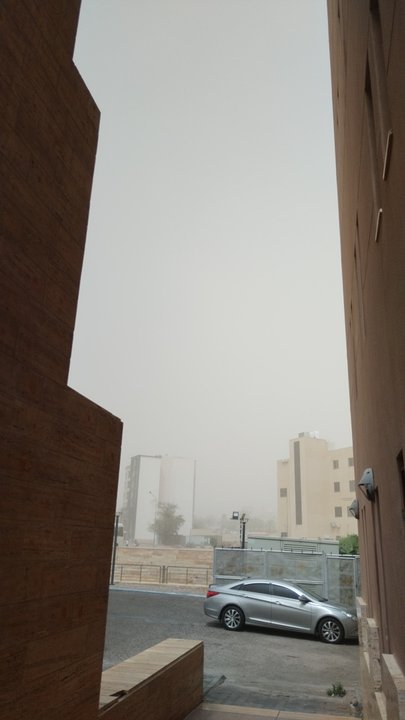 مشاركاتي في أنت الراصد