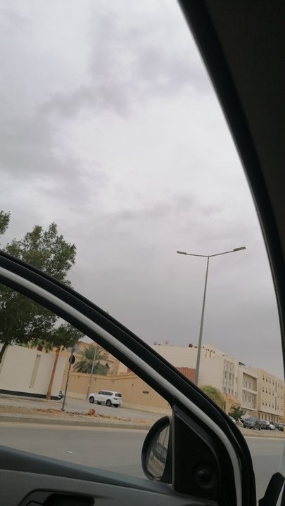 مشاركاتي في أنت الراصد