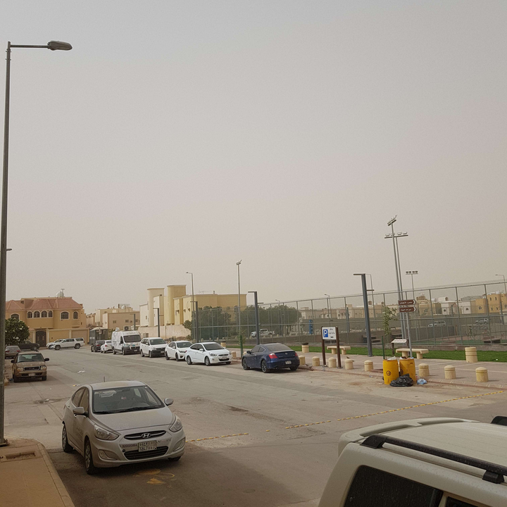 مشاركاتي في أنت الراصد