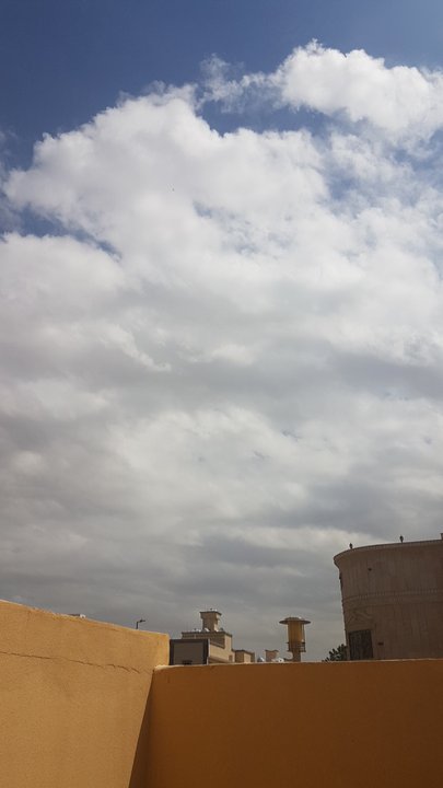 مشاركاتي في أنت الراصد