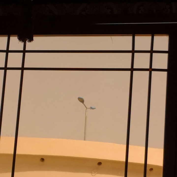 مشاركاتي في أنت الراصد