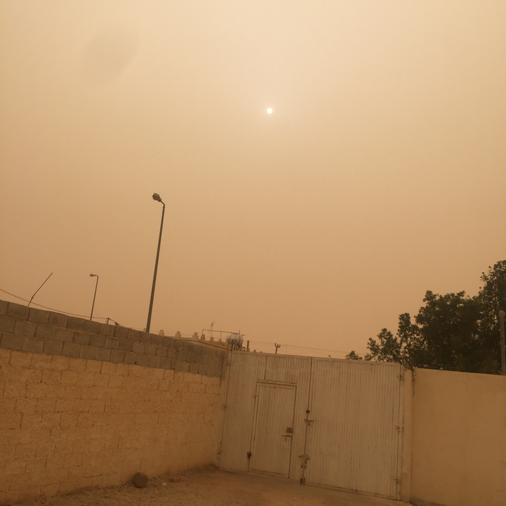 مشاركاتي في أنت الراصد