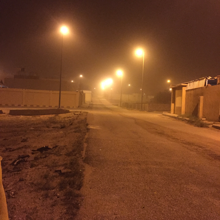 مشاركاتي في أنت الراصد