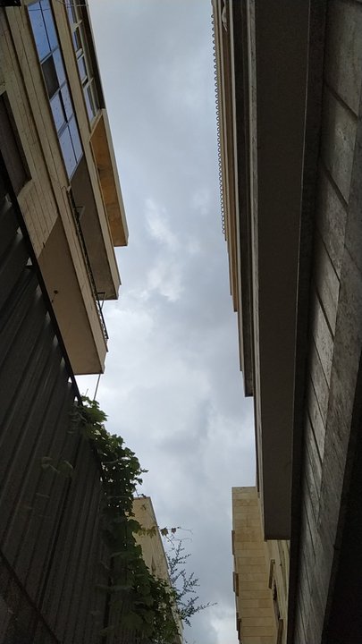 مشاركاتي في أنت الراصد