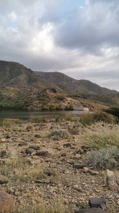 مشاركاتي في أنت الراصد