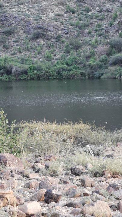 مشاركاتي في أنت الراصد