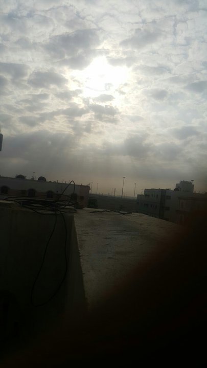 مشاركاتي في أنت الراصد