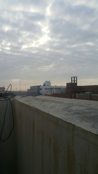 مشاركاتي في أنت الراصد