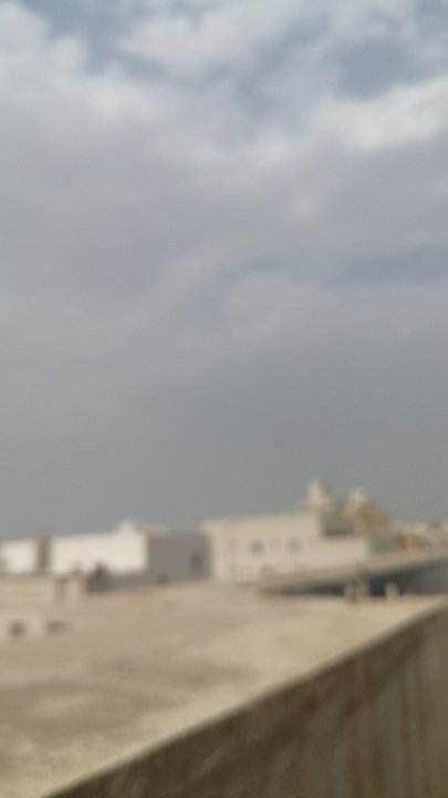 مشاركاتي في أنت الراصد