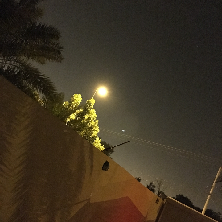 مشاركاتي في أنت الراصد