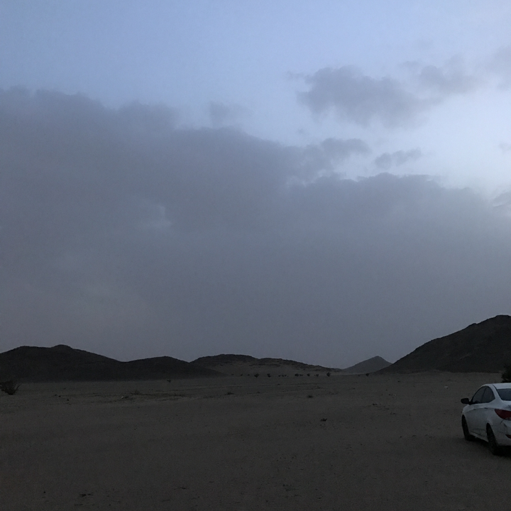 مشاركاتي في أنت الراصد