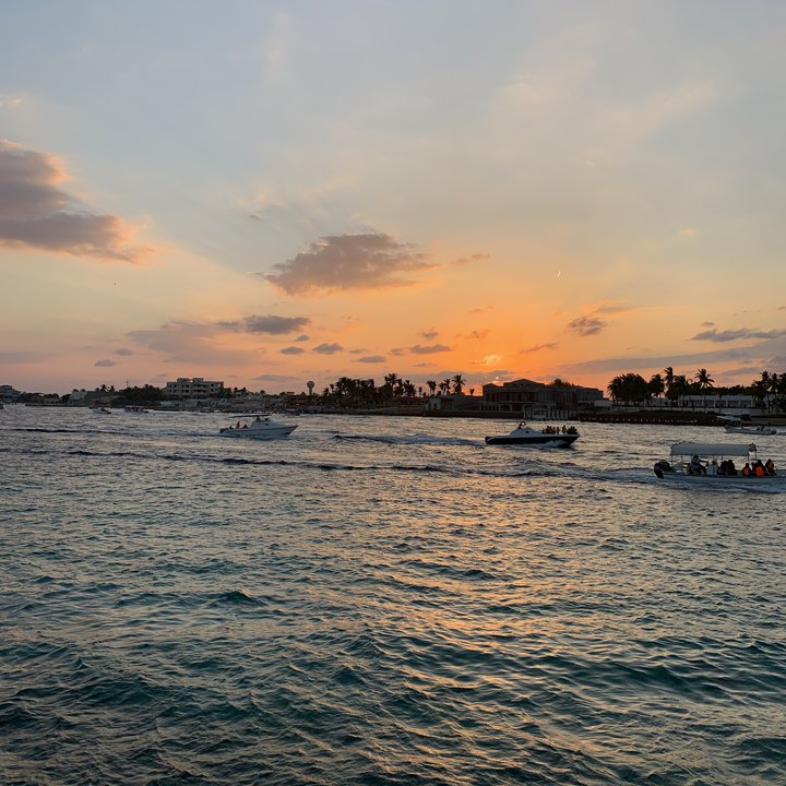 مشاركاتي في أنت الراصد