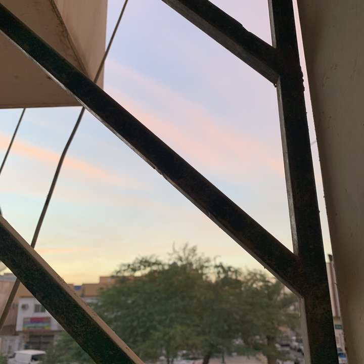 مشاركاتي في أنت الراصد