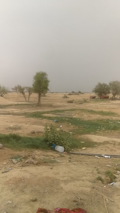 مشاركاتي في أنت الراصد