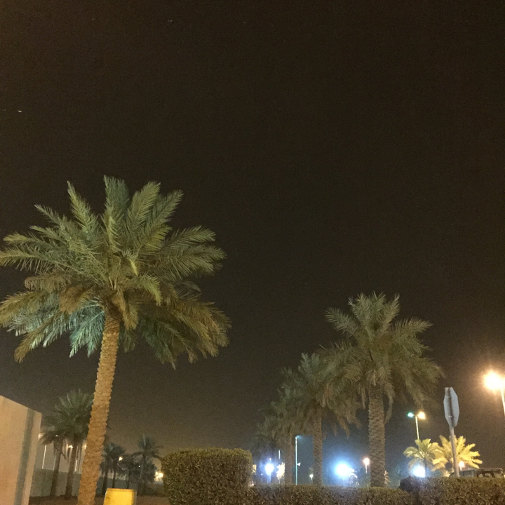 مشاركاتي في أنت الراصد