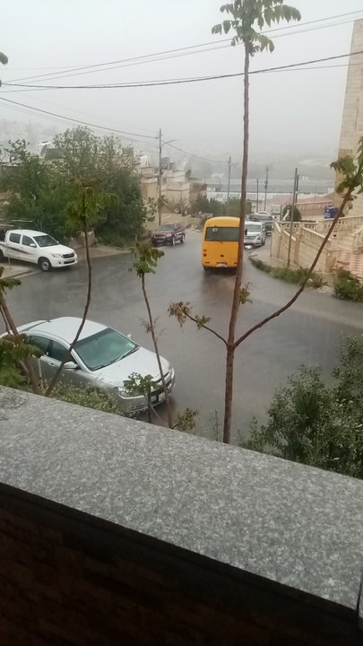 مشاركاتي في أنت الراصد