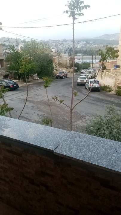 مشاركاتي في أنت الراصد