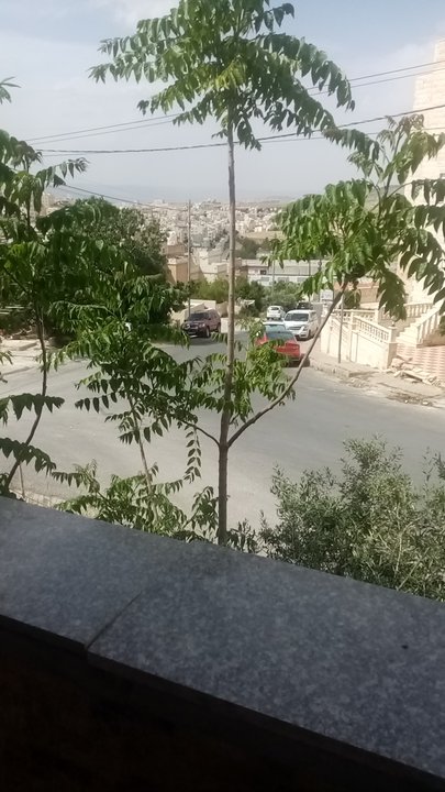 مشاركاتي في أنت الراصد