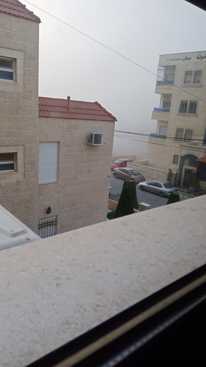 مشاركاتي في أنت الراصد