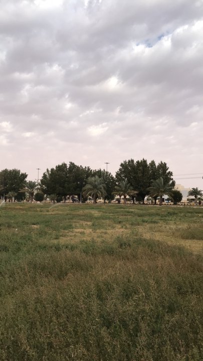 مشاركاتي في أنت الراصد