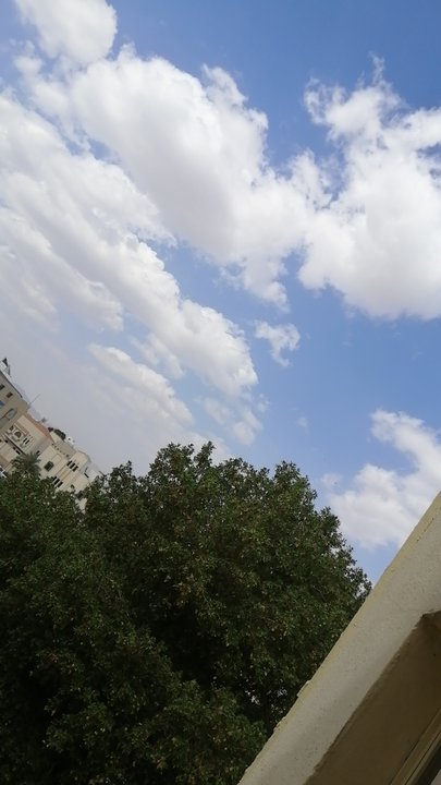 مشاركاتي في أنت الراصد