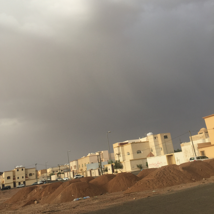 مشاركاتي في أنت الراصد