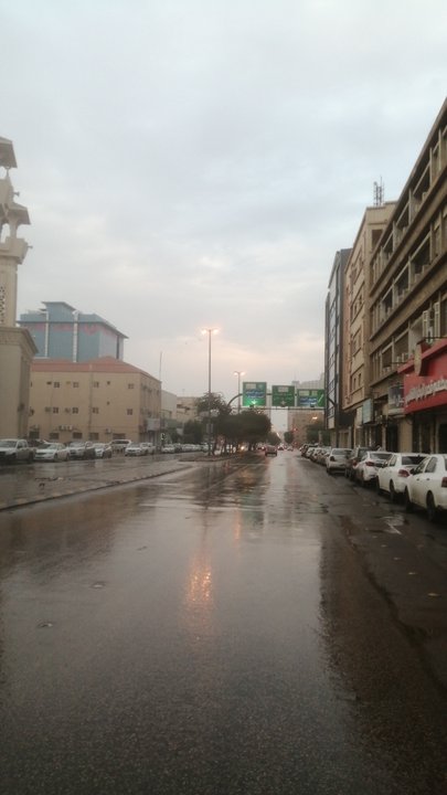 مشاركاتي في أنت الراصد