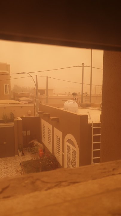 مشاركاتي في أنت الراصد