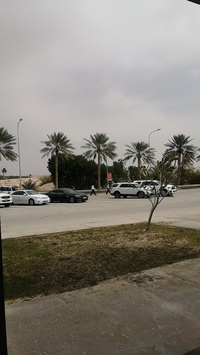 مشاركاتي في أنت الراصد