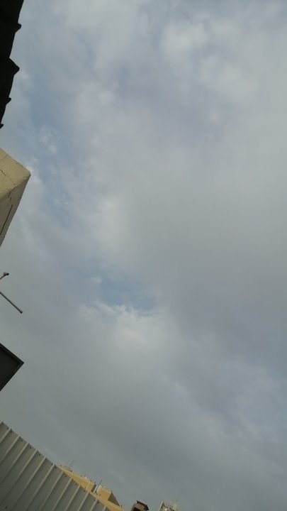 مشاركاتي في أنت الراصد