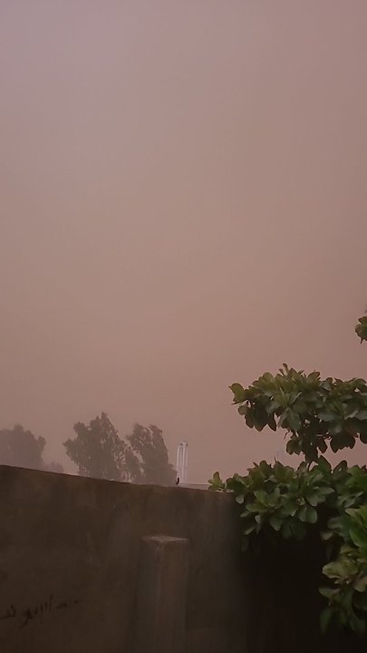 مشاركاتي في أنت الراصد