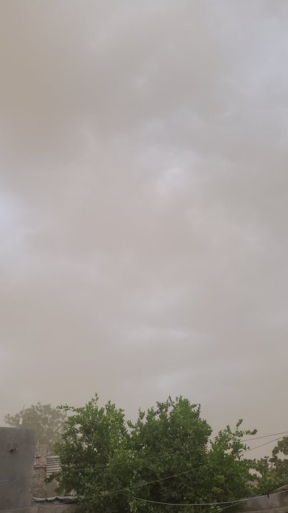 مشاركاتي في أنت الراصد